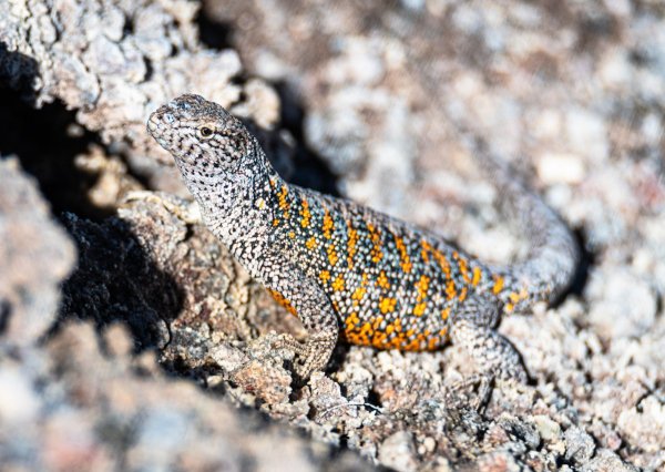xDSC_0222.jpg
