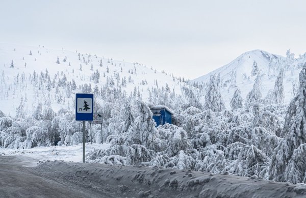 xDSC_2145.jpg