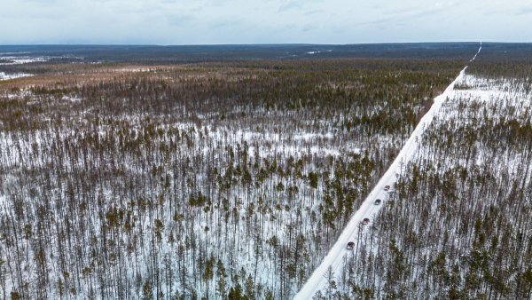 2DJI_20260218113252_0217_D.jpg