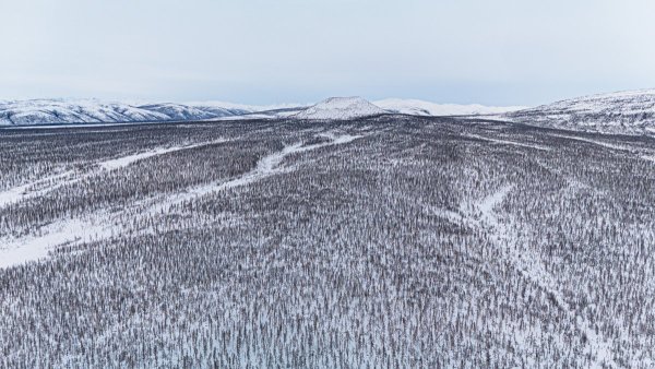 DJI_20260302164252_0039_D.jpg