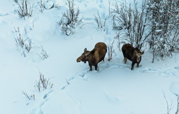 DJI_20260302182306_0057_D.jpg