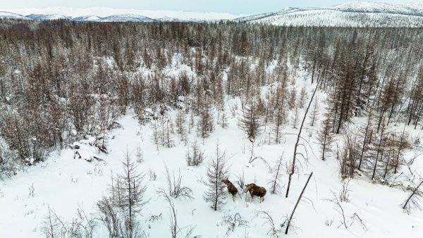 DJI_20260302182638_0070_D.jpg