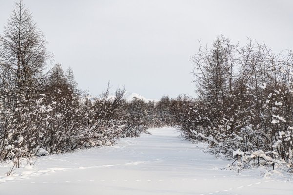 DSC_2114.jpg
