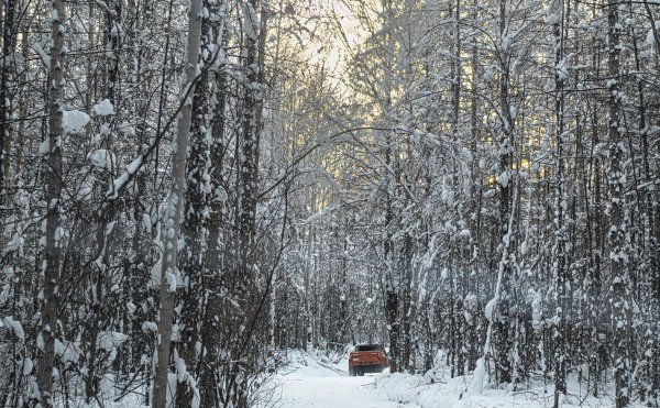 DSC_2966.jpg