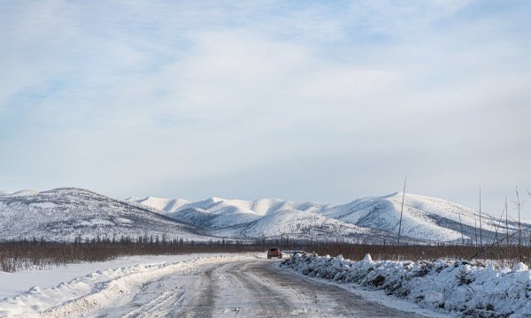 DSC_2981.jpg