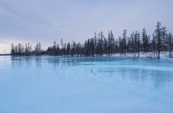 xDSC03263.jpg