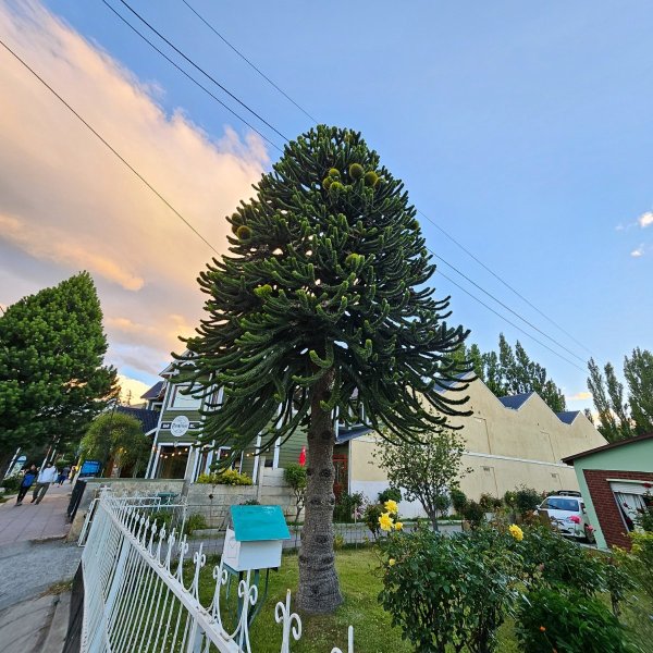 z20260102_214136.jpg